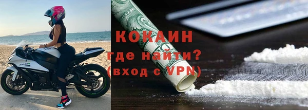 шишки Аркадак