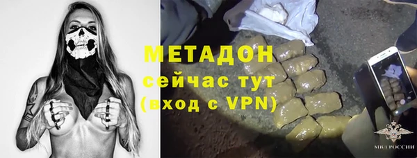 шишки Аркадак