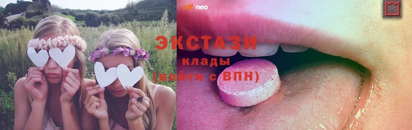 шишки Аркадак