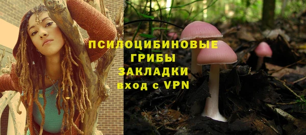 герыч Арсеньев