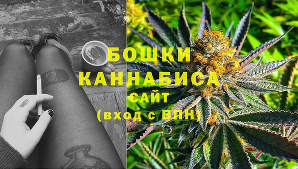 шишки Аркадак