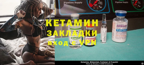 шишки Аркадак