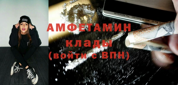 шишки Аркадак