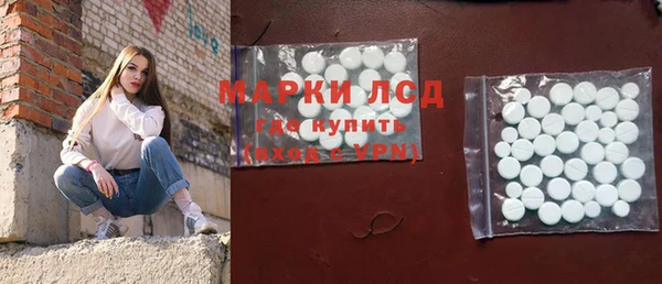 шишки Аркадак