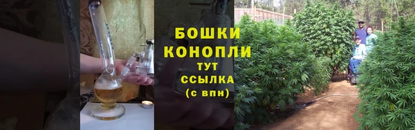 шишки Аркадак