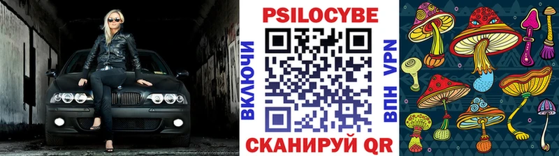 mega   Сарапул  Псилоцибиновые грибы GOLDEN TEACHER 